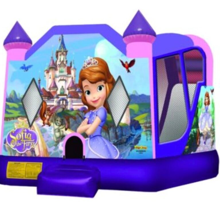 Big Bounce Castle Red deer2 768x730