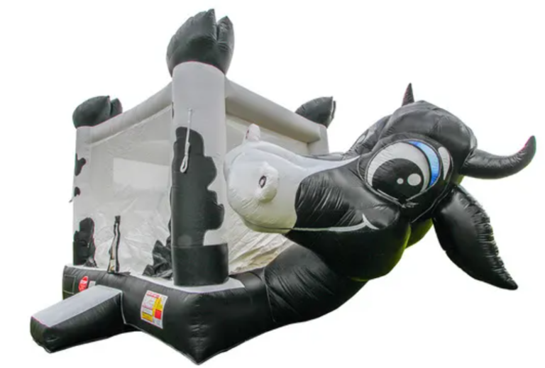 Galaxy Bounce Party Rentals2 768x519