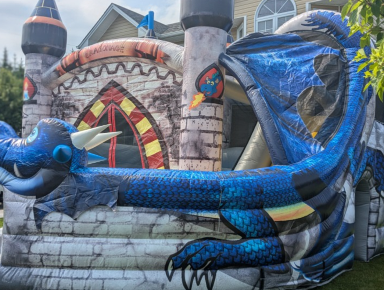 Sky High Amusements 768x581