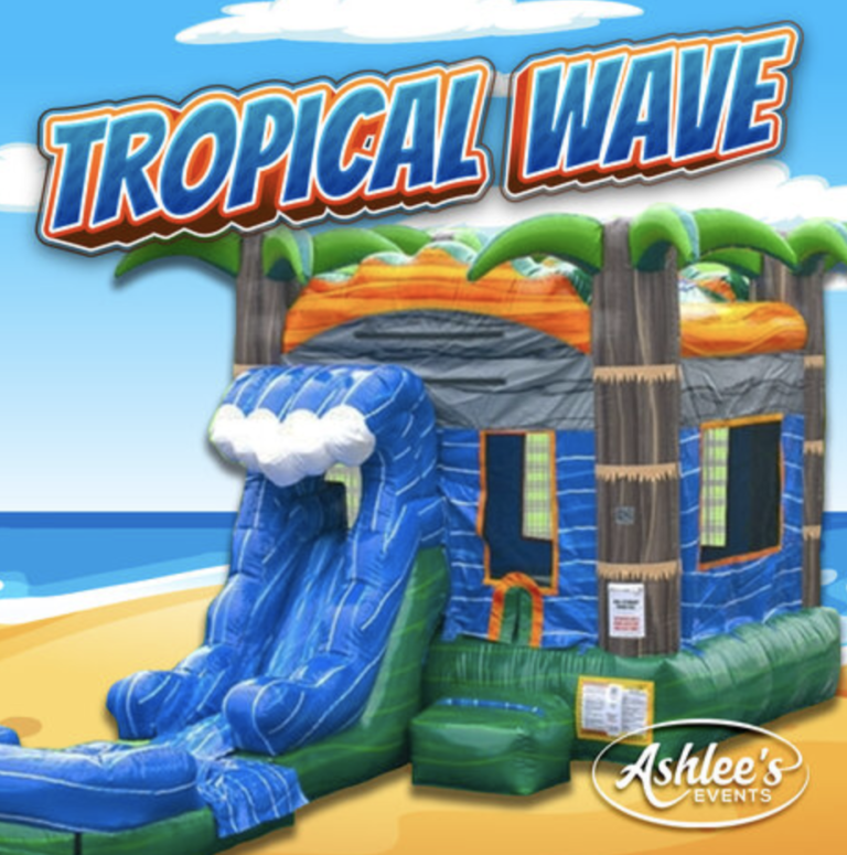 Ashlees Events Bouncy Castle Party Rentals 768x775